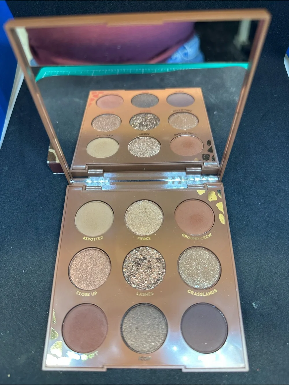 ColourPop eyeshadow palettes Lust for Dusk, Boudoir Noir, Wild Child ✨used✨